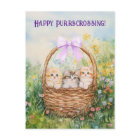 Postcrossing Kittens - Postcard