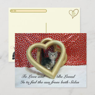 Postcrossing Love Quote Starring Lilo Cat Postcard