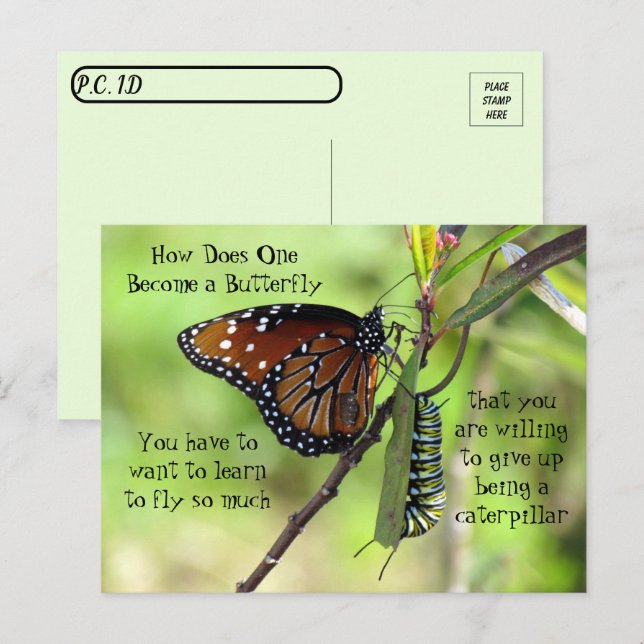 Postcrossing - Monarch Butterfly & Caterpillar Postcard (Front/Back)