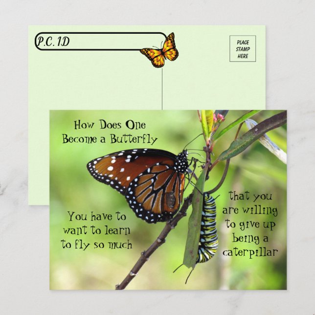 Postcrossing - Monarch Butterfly & Caterpillar Postcard (Front/Back)