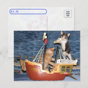 Postcrossing - Pirate Kittens - Cat / Kitten Postcard