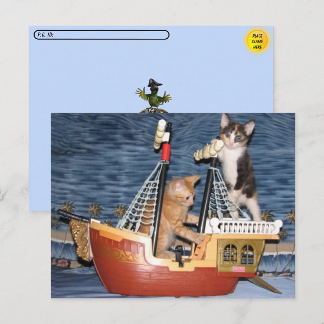 Postcrossing Pirate Kittens Postcard (Front/Back)