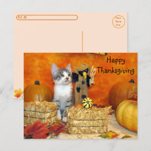 Postcrossing - Pork Chop's Thanksgiving - Cat Postcard