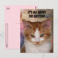 Postcrossing Reba's Catitude Postcard