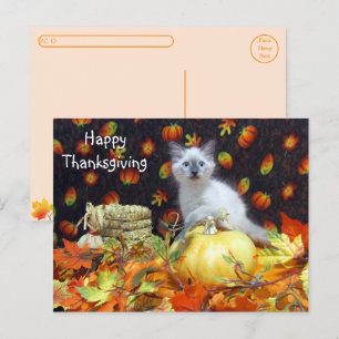 Postcrossing - Savannah Siamese Cat's Thanksgiving Postcard