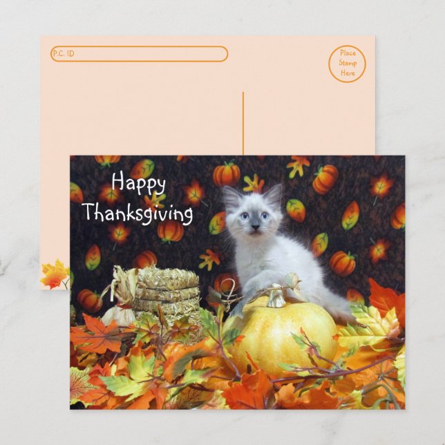 Postcrossing - Savannah Siamese Cat's Thanksgiving Postcard (Front/Back)