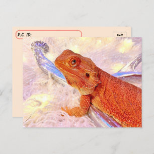 Postcrossing Teak the Bearded Dragon Postcard