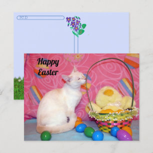 Postcrossing - Tiffany's Easter Basket = Cat Postcard
