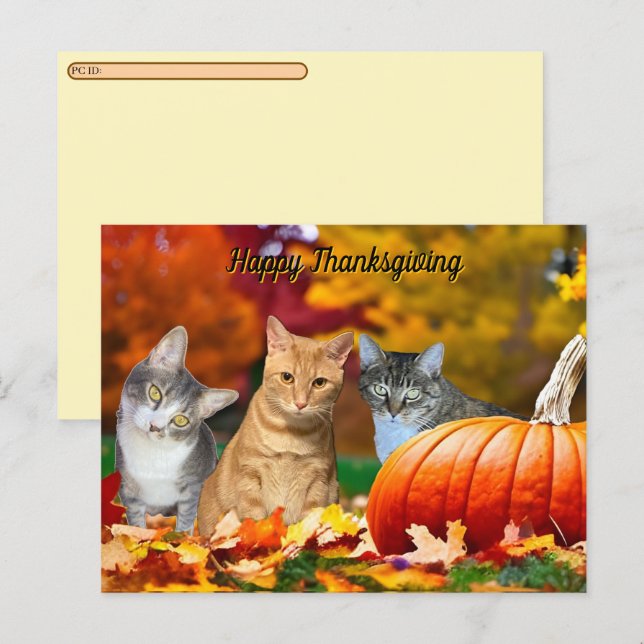 Postcrossing Tito, Taz & Annie's 2025 Thanksgiving Holiday Postcard (Front/Back)