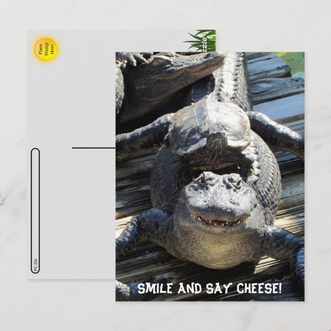 Postcrossing - Ultimate Florida Tourist Postcard  (Front/Back)