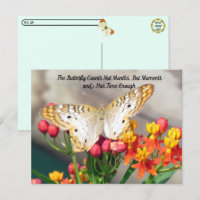 Postcrossing - White Peacock Butterfly Quote