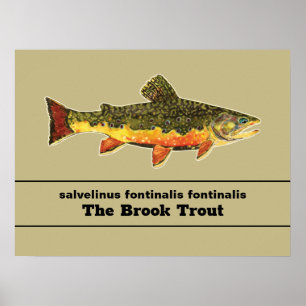 . POSTER