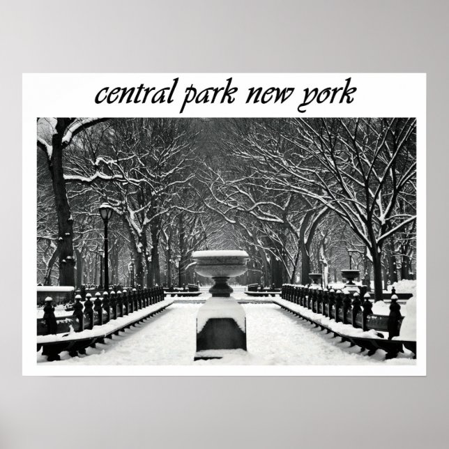 Poster (Front)