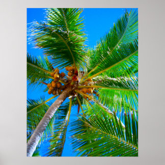 Poster (18" x 24") Palm Tree Vanuatu