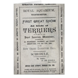 Poster advertising the Allied Terrier Club