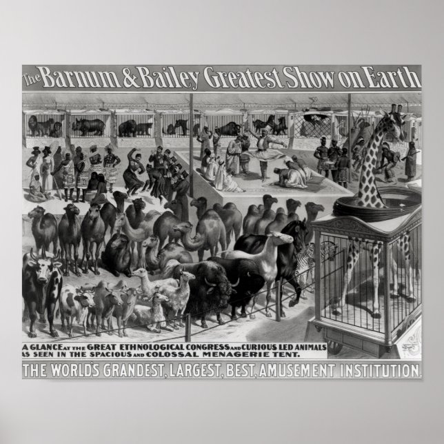 Poster advertising, 'The Barnum and Bailey (Front)