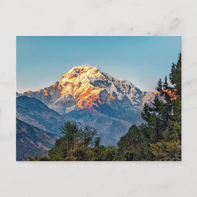 Poster Annapurna sunset Postcard (Front)