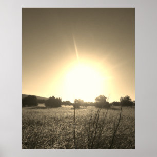 POSTER ART AND DESIGN STYLES