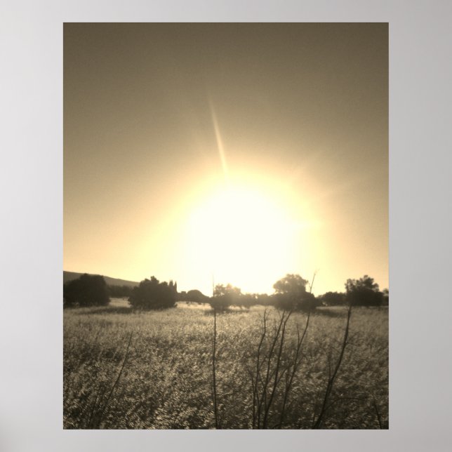 POSTER ART AND DESIGN STYLES (Front)