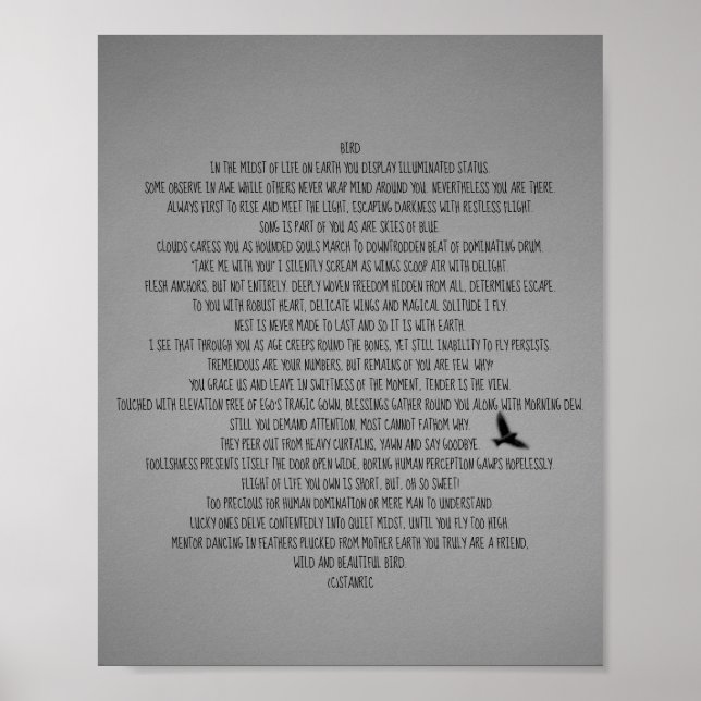 POSTER ART AND DESIGN STYLES (Front)