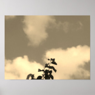 POSTER ART AND DESIGN STYLES 