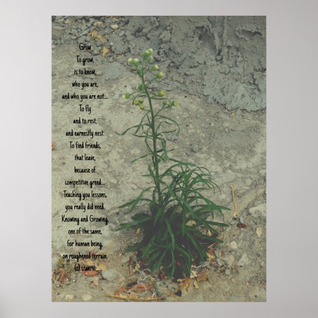 POSTER ART AND DESIGN STYLES  (Front)