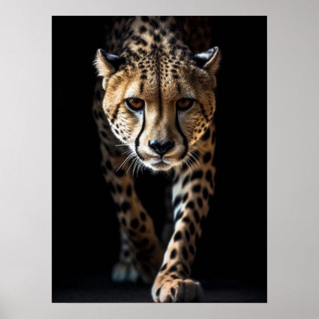 Poster Art Cheetah (Front)