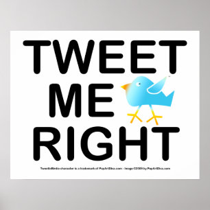 Poster, Art - Tweet Me Right Poster