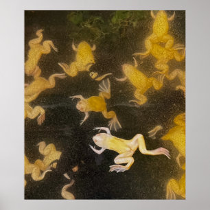 POSTER Backpack picture science frogs swimming