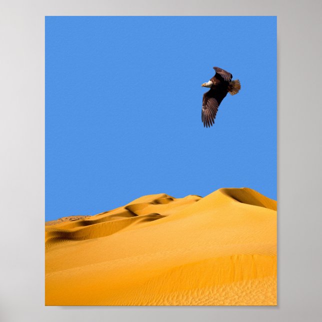 Poster Bald Eagle (Front)
