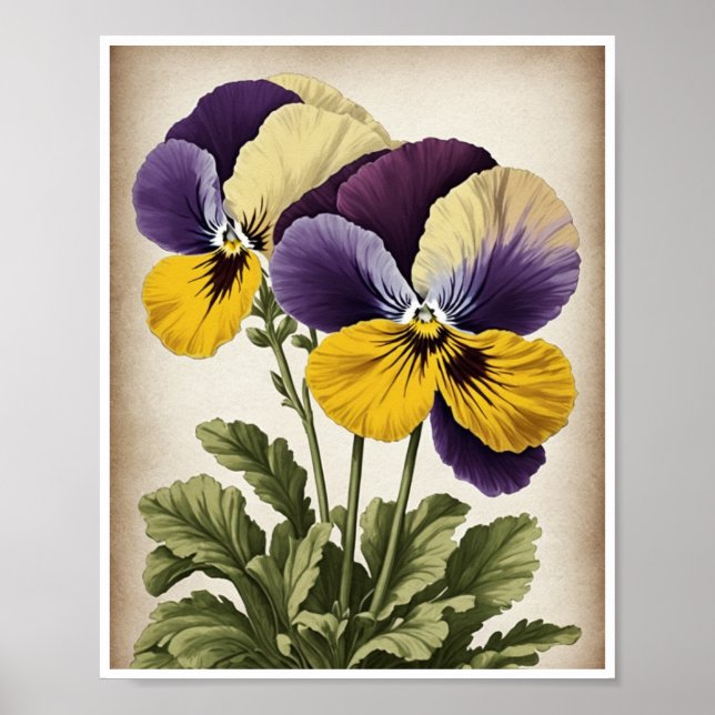 Poster Beautiful Pansy Flower Wall Decor Wall Art (Front)
