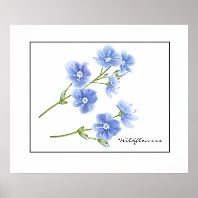 Poster-Blue Wildflowers Poster (Front)