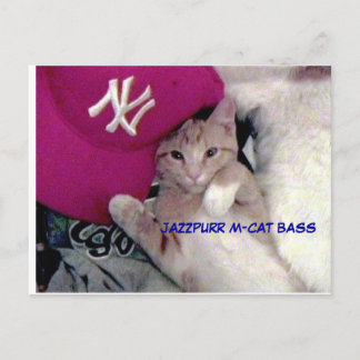Poster Boy for Love Jazzpurr Postcard