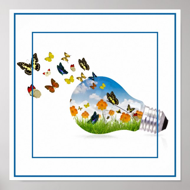 Poster-Butterflies 12"x 12" Poster (Front)