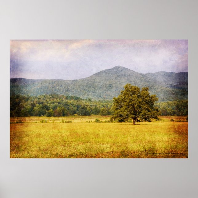 Poster - Cades Cove Tree - Great Smoky Mt. Nat'l P (Front)