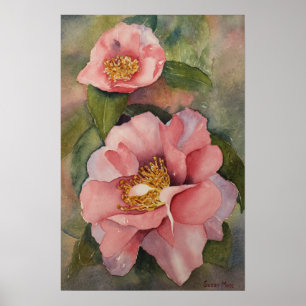 POSTER - 'Camellia in Bloom'