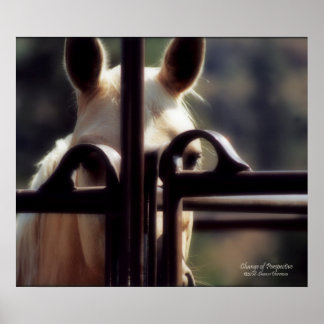 Poster, Change of Perspective, Horse, Farm, Rodeo Poster