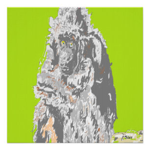 Poster Chimpanzee