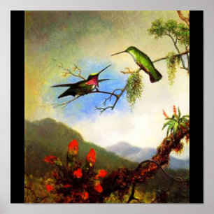 Poster-Classic/Vintage-Martin Johnson Heade 1 Poster