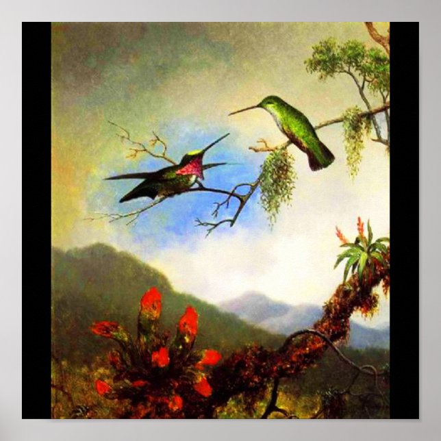 Poster-Classic/Vintage-Martin Johnson Heade 1 Poster (Front)