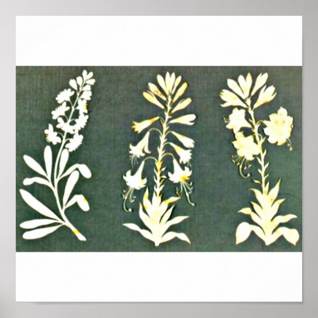 Poster-Classic/Vintage-Philipp Otto Runge 3 Poster (Front)