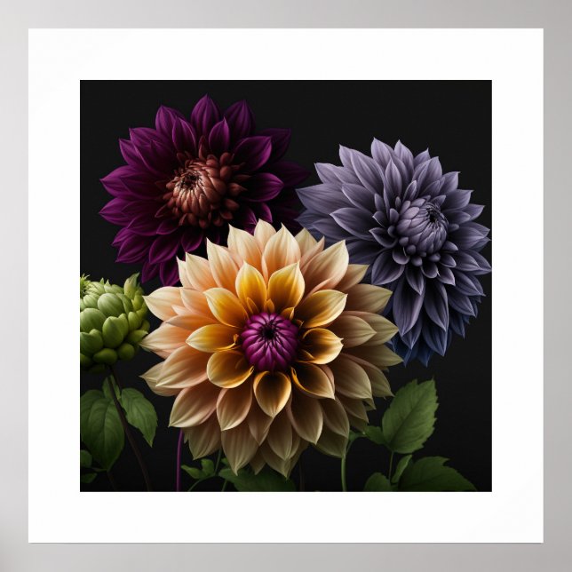Poster Dahlia Flowers (Front)