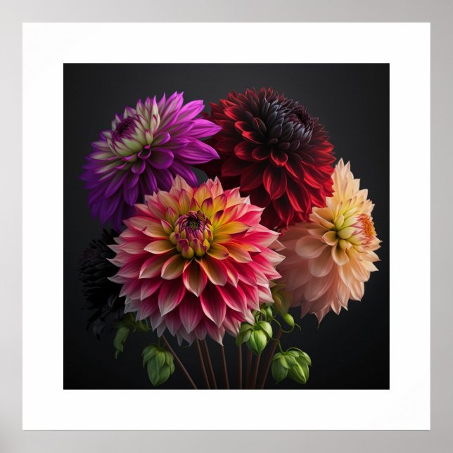 Poster Dahlia Flowers (Front)