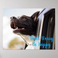 Poster-Dog Face out Car Window Don't Worry Be
