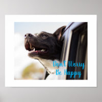Poster-Dog Face out Car Window Don't Worry Be