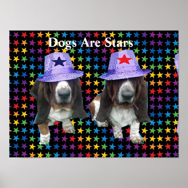 Poster Dogs Are Stars (Front)