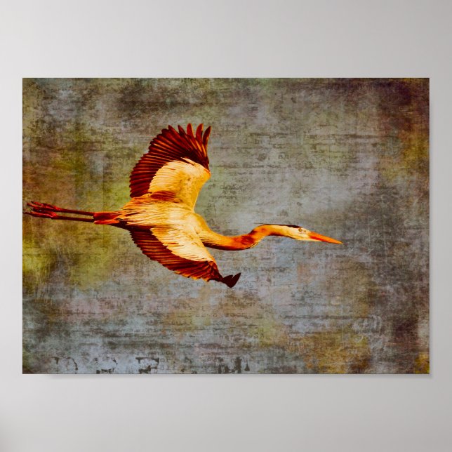 Poster-Dream World Poster (Front)