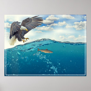 Poster-Eagle Poster