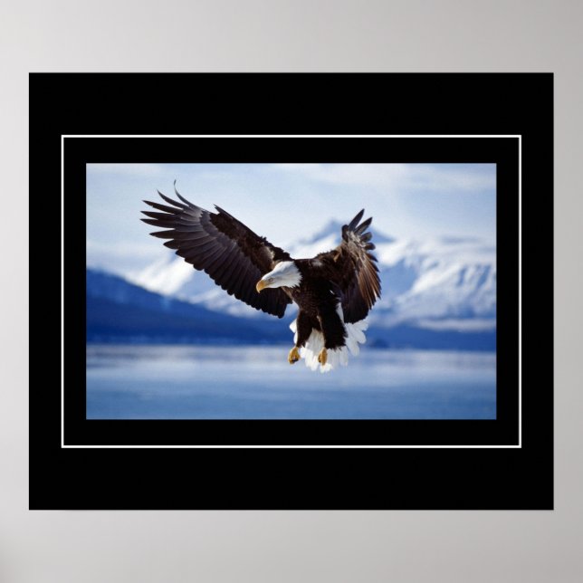 Poster-Eagle Poster (Front)