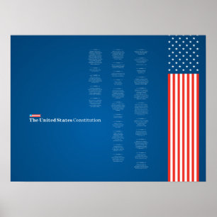 Poster Econo USA Constiution American Flag